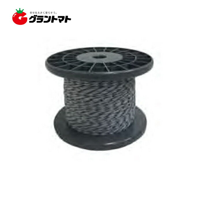 ����ߥ����ե����ॳ���� 200m�����ɽ����ŵ�����