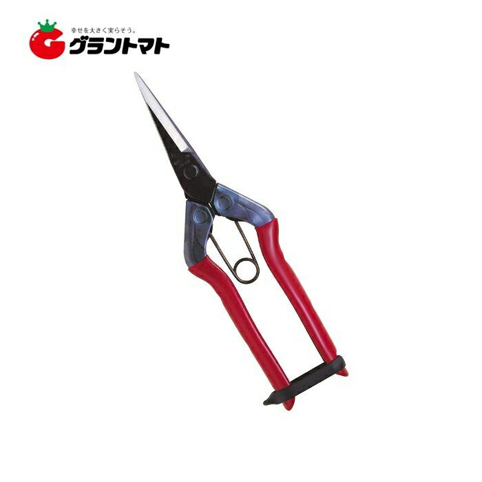 クーポン利用でMAX1,000円OFF 芽切鋏 T-550 尖直刃 バネ付 185mm 近正