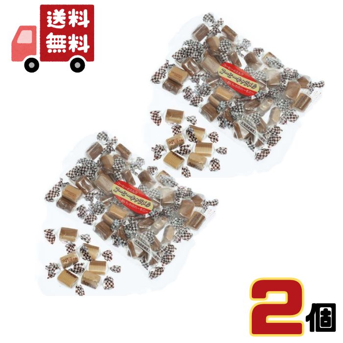 【1000円ぽっきり】 日邦製菓 コーヒーキャラメル 250g×2個 おやつ 食品 送料無料 ネコポス