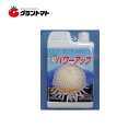 大菊 パワーアップ 1kg 菊用の肥料 国華園