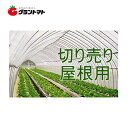 スーパーSALE期間中P3倍 キリヨケバーナル切り売り 0.1mm×750cm×1m 農PO【ビニールハウス】【取寄商品】【受注生産】