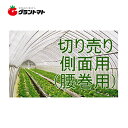スーパーSALE期間中P3倍 キリヨケバーナル側面用切り売り 0.15mm×300cm【ビニールハウス】【取寄商品】