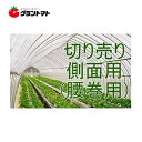 キリヨケバーナル側面用切り売り　0.15mm×300cm【ビニールハウス】【取寄商品】