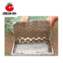 スーパーSALE期間中P3倍 ネトマール2 300枚入 育苗用敷紙 日本甜菜製糖【取寄商品】