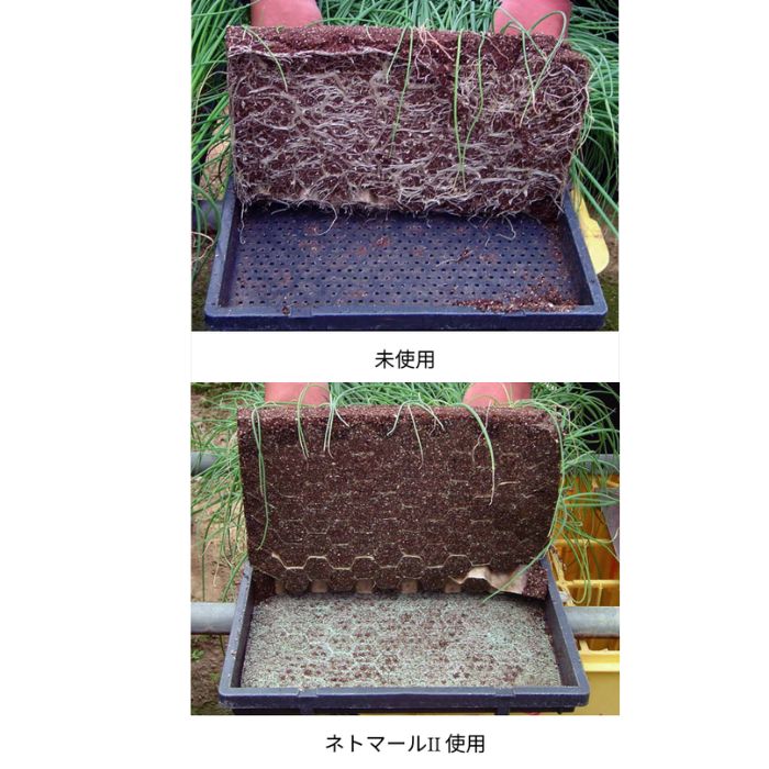 ネトマール2 300枚入 育苗用敷紙 日本甜菜製糖【取寄商品】