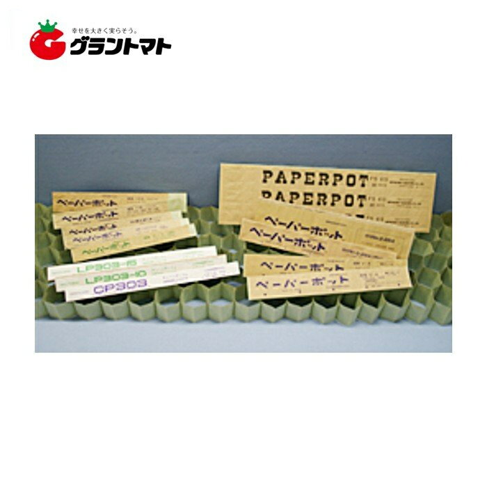 ペーパーポット No.16 紙製育苗用連結ポット 日本甜菜製糖