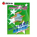 スカイコート 中接 0.1×570×8 2.5間×3間用屋根ビニール【ビニールハウス】