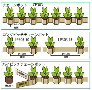 チェーンポット CP-303 播種育苗用資材 日本甜菜製糖（ニッテン）