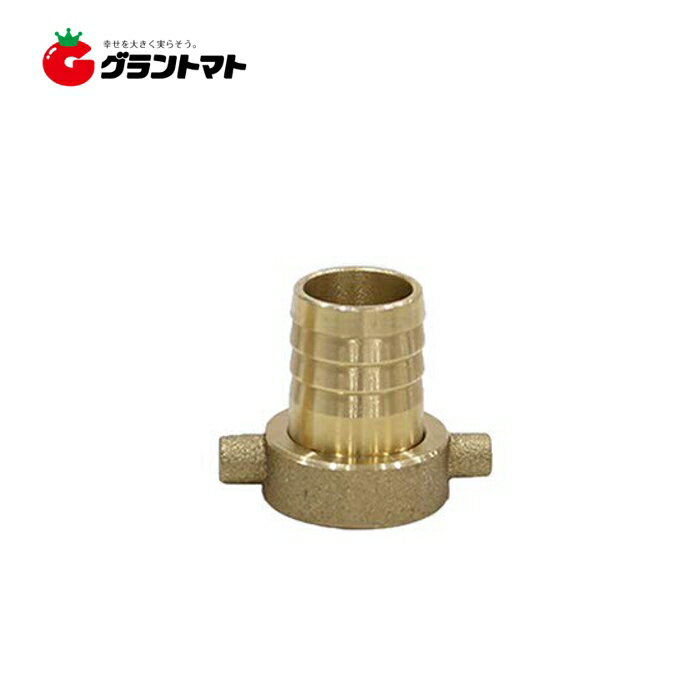 真鍮ホースカップリング メス 50mm