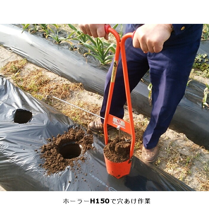 ホーラー H75D 7.5cm穴 マルチ兼植え穴あけ器 苗 定植 移植 サンエー