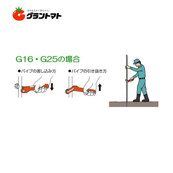 �ѥ��ץϥ�� G25(19.1?25.4mm��) �����ѥӥˡ���ϥ����Υѥ���ȴ���������� ���󥨡�