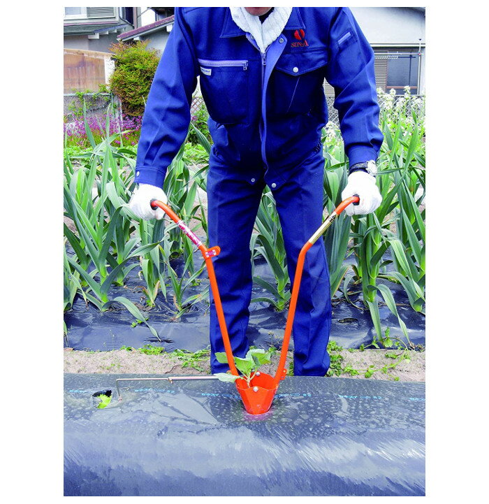 �ۡ��顼 H110P�����ļ��ܿ���ݥå��Ŀ����ꤢ��