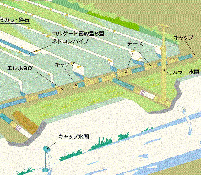 サンプル画像3
