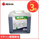 マラソン期間中P3倍 MCPP液剤 5L スギナやクローバーに効く芝用除草剤 丸和バイオケミカル