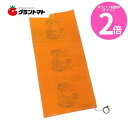 マラソン期間中P2倍 農電園芸マット 1-417 1.2m×5.0m(約2坪) 育苗用保温マット 日本農電