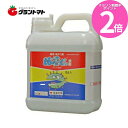 マラソン期間中P2倍 粘着くん液剤 5L 害虫捕縛剤 農薬 住友化学【期限2024年8月】【取寄商品】