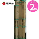マラソン期間中P2倍 晴天 0.1mm×185cm×100m 原反 (外張り用農ビ 防霧滴汎用タイプ) アキレス 【取寄商品】