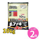 マラソン期間中P2倍 ネコソギトップF 10kg 除草剤 顆粒 レインボー薬品