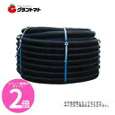 マラソン期間中P2倍 バイドレーンダブル管 50mm×100m ダブル有孔管 東洋化工