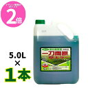 マラソン期間中P2倍 オヒシバに効く! 一刀両断草キラー 5L グルホシネート 18.5% 非農耕地用 除草剤