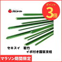 マラソン期間中P3倍 イボタケ(イボ竹) 20mm×2100mm パック売り50本入り セキスイ樹脂