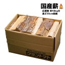 イワタニ / Iwatani カセットガス カセットボンベ お得用16パックセット（48本）【送料無料】【メーカー梱包箱配送】【包装対応不可】