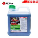 (お得なセット販売) コケそうじ ゼニゴケ専用スプレー500ml＆ ゼニゴケ専用濃縮液　500ml パネフリ工業