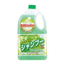 マラソン期間中P2倍 オールカラーシャンプー2L YP150-A ジョイフル【取寄商品】