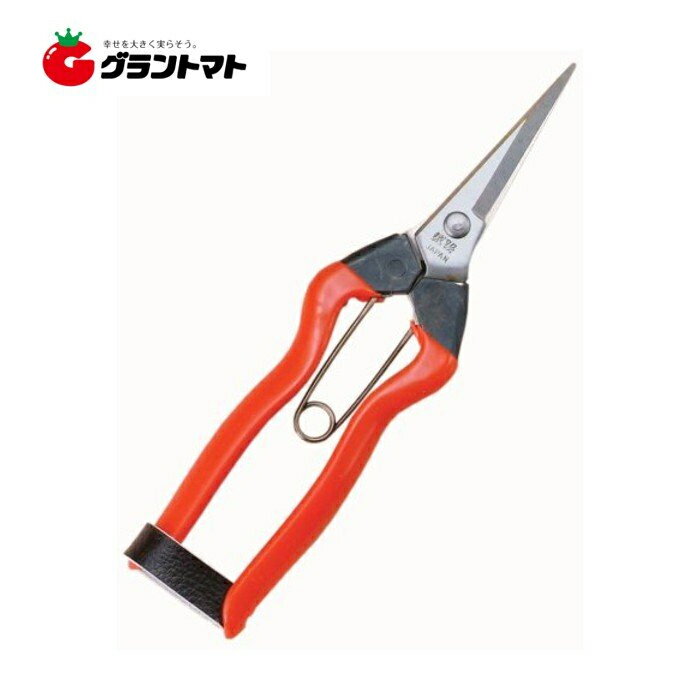 ステンレス 摘果鋏 K-9 185mm 越路 小林製鋏【取寄商品】