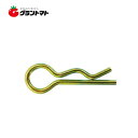 Rピン(5P) 8Φ