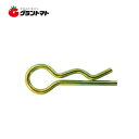 Rピン(2P) 特大