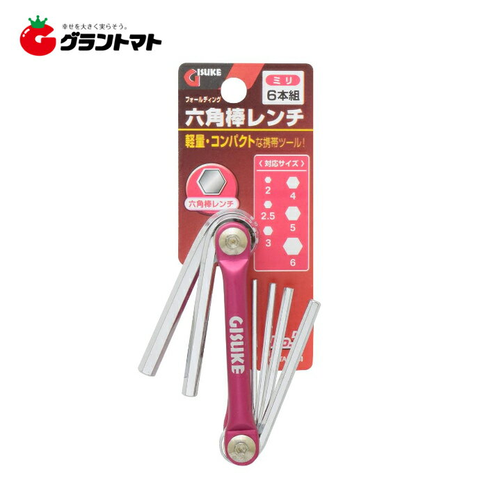 ȥޥȡŷԾŹ㤨GISUKEեǥϻߥꡡ1⵷פβǤʤ757ߤˤʤޤ