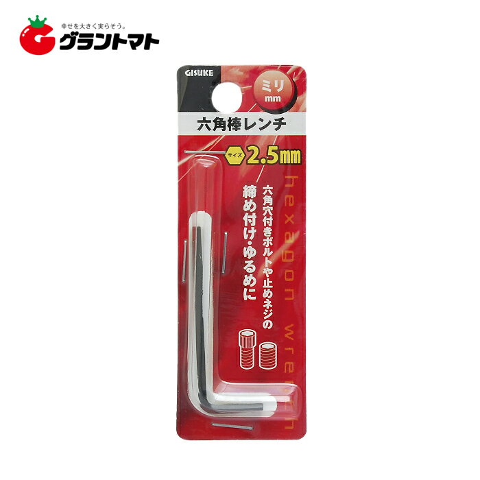 GISUKE��ϻ�����������ߥꡡ����2��5mm�⵷�ڼ���ʡ�