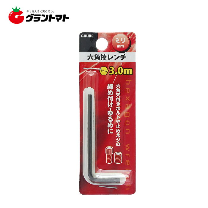 GISUKE��ϻ�����������ߥꡡ����3��0mm�⵷�ڼ���ʡ�