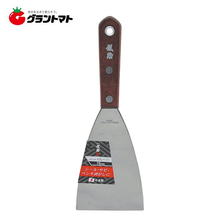 儀助　ステンレス　スクレーパー　75mm高儀【取寄商品】