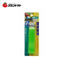 マラソン期間中P2倍 ギスケ 荷締めベルト 2m高儀【取寄商品】
