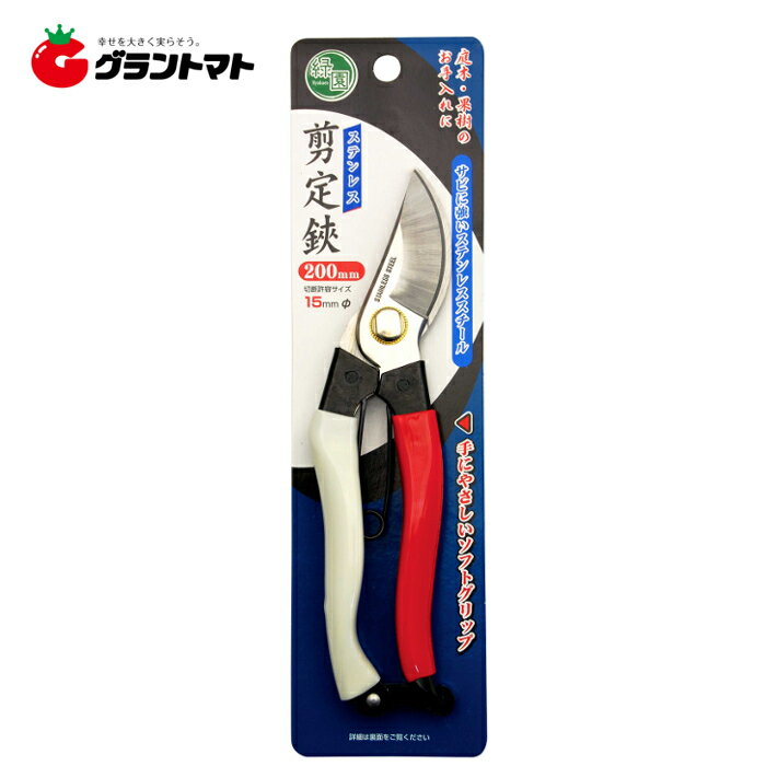 бࡡƥ쥹ϥɥ200ߥ⵷