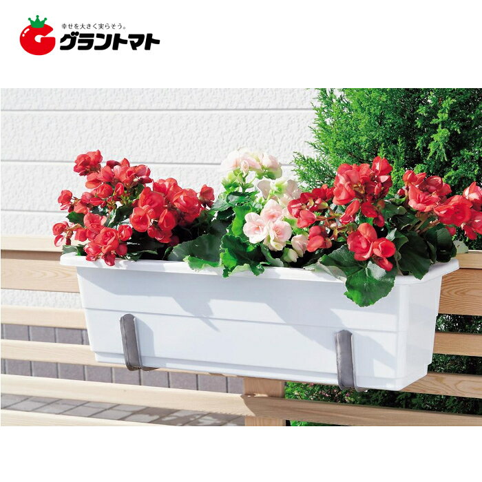 Sun Garden�������ƥ�쥹�ץ�󥿡��ϥ󥬡�GPH��01�⵷