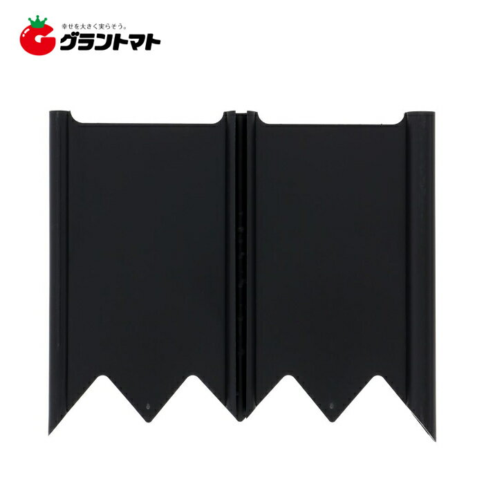 TAKAGI �Ǥκ������� 1�� �⵷