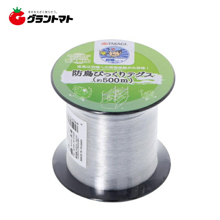 TAKAGI Ȫ����������Ļ�Ӥä���ƥ��� 500m �⵷�ڼ���ʡ�