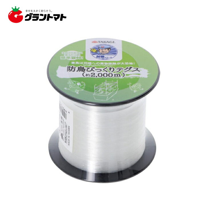 TAKAGI Ȫ����������Ļ�Ӥä���ƥ��� 2000m �⵷�ڼ���ʡ�