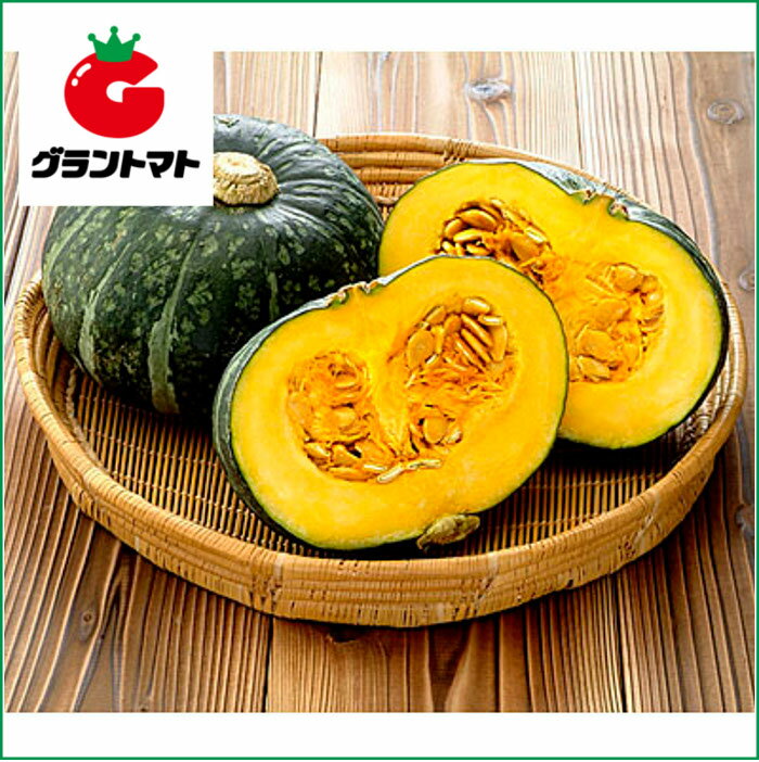 楽天グラントマト　楽天市場店みやこ南瓜　10dl 野菜種子【かぼちゃ　カボチャ】【取寄商品】