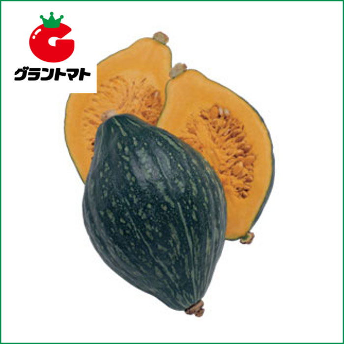 スイート南瓜　ロロン　100粒 野菜種子