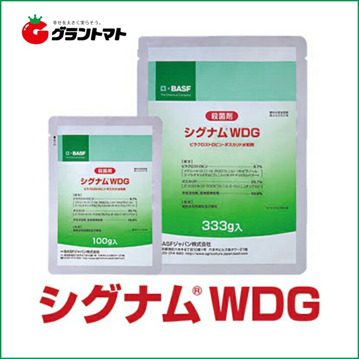 シグナムWDG　333g　ダブルブロック型野菜用殺菌剤【取寄商品】