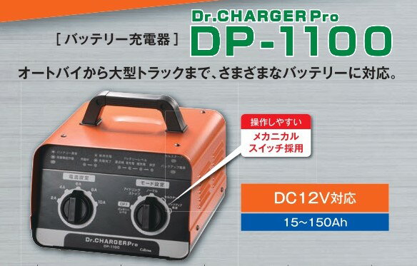 セルスター DP-1100 