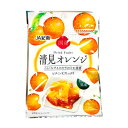 【送料無料】　人気上昇中！当店大人気　【JA紀南】　新規格　ドライフルーツ　1袋20g　ドライフルーツ清見オレンジ（20g×20袋セット）　和歌山県産　清見オレンジ　【代引き不可】 保管に便利なチャック付きドライフルーツ