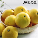 【JA紀の里】八朔　約5kg　Mサイズ(21〜23玉)　紀州　和歌山県産　はっさく（1月下旬〜2月下旬の発送です。）