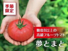 【夢とまと】フルーツトマト600g箱(1月以降出荷開始予定です)
