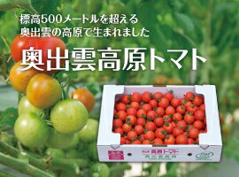 奥出雲高原トマト3kg箱島根県産ミディトマト