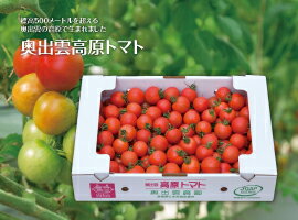 奥出雲高原トマト3kg箱島根県産ミディトマト